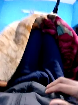 vaasuboy01 online show from 19, 11, 2025