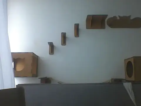 Temp7 online show from 21, 2, 2026