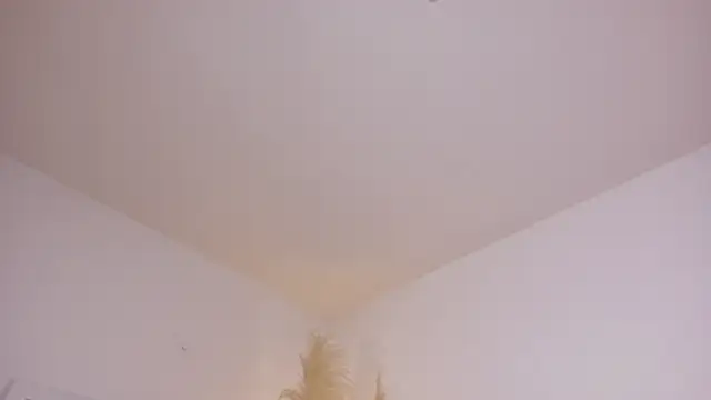 am berr online show from 13, 12, 2025