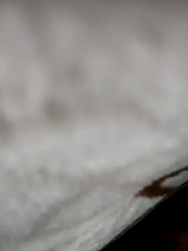 jiniya6789 online show from 5, 1, 2026