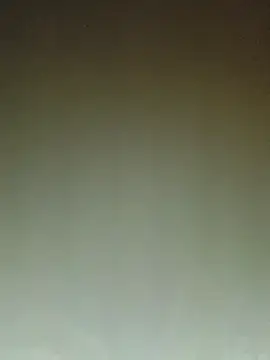 Snapshot of ArgentinaShani chatting on 11, 2, 2026 ArgentinaShani online show from 11, 2, 2026