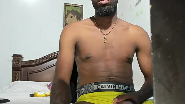 Snapshot of blaze_panther chatting on 19, 6, 2026 blaze panther online show from 19, 6, 2026