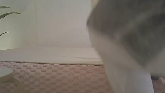 Snapshot of kyono-iyashi chatting on 8, 3, 2026 kyono-iyashi online show from 8, 3, 2026