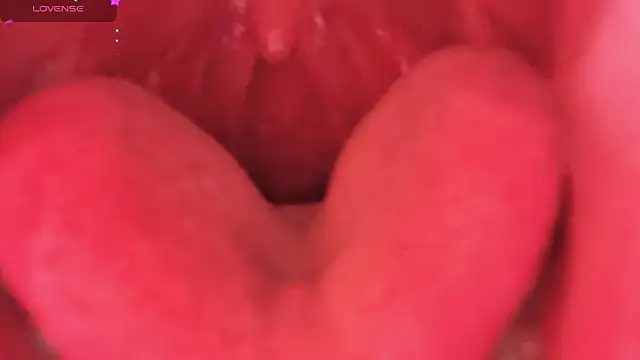 LT-333 online show from 6, 2, 2026