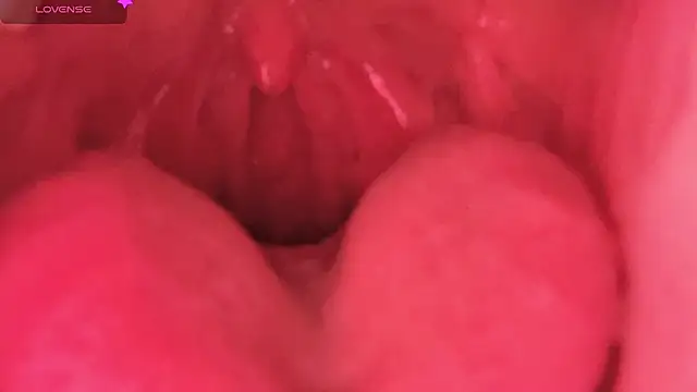 LT-333 online show from 7, 2, 2026