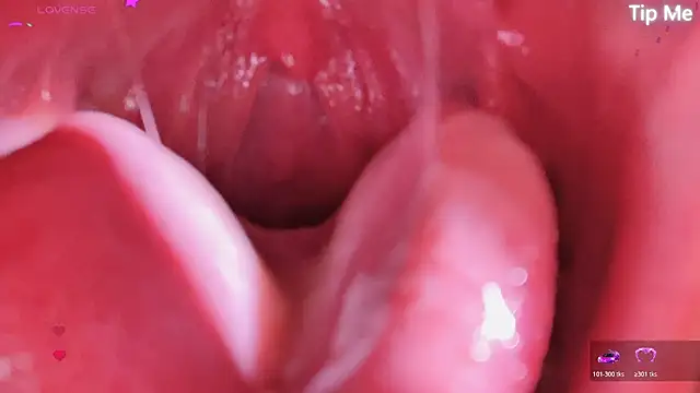 LT-333 online show from 17, 4, 2026