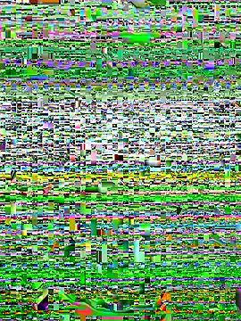 Snapshot of alexzzzzzppp chatting on 27, 11, 2025 alexzzzzzppp online show from 27, 11, 2025