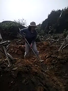 Alibabapi online show from 26, 3, 2026