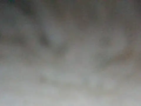 ilove90123 online show from 16, 3, 2026