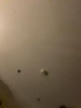 Gabriellabella13 online show from 5, 12, 2025