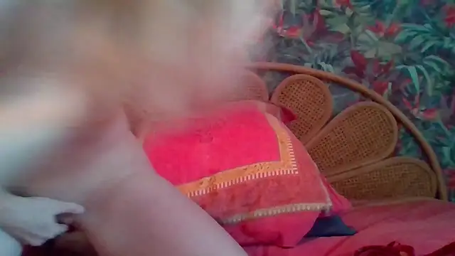 Clelia33 online show from 7, 2, 2026