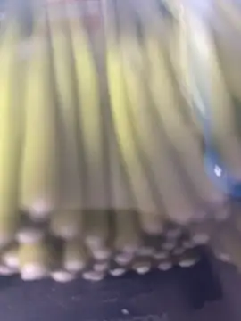 Ghost-Zero online show from 21, 3, 2026