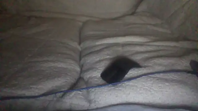 Snapshot of moneymaker50 chatting on 2, 12, 2025 moneymaker50 online show from 2, 12, 2025