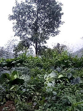 sary-hot2x online show from 24, 2, 2026