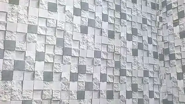 Exotic indian95 online show from 3, 4, 2026