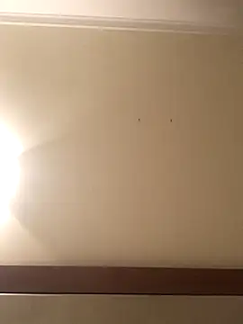 Snapshot of Palinchik chatting on 7, 1, 2026 Palinchik online show from 7, 1, 2026