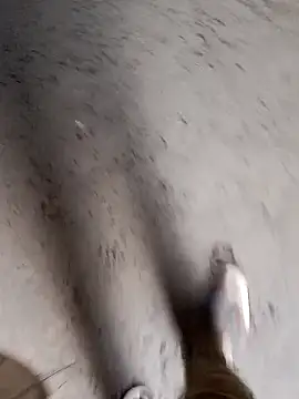 Snapshot of Nick_universal chatting on 28, 2, 2026 Nick universal online show from 28, 2, 2026