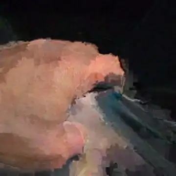 abmelken online show from 15, 4, 2026