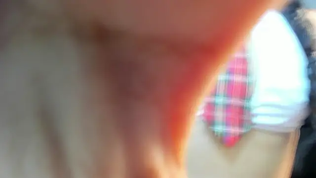 Snapshot of valeria_dark_ chatting on 17, 1, 2026 valeria dark online show from 17, 1, 2026