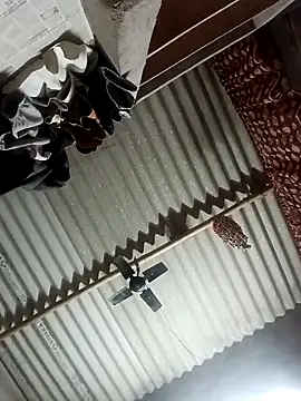 Shreya pandit online show from 23, 3, 2026