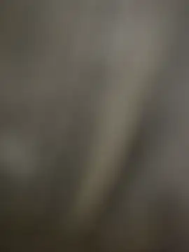 Sammyboii006 online show from 16, 12, 2025