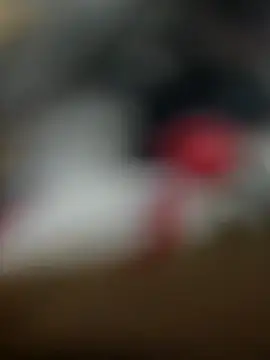 Sammyboii006 online show from 11, 2, 2026