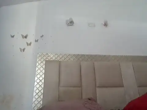 danylush online show from 14, 2, 2026