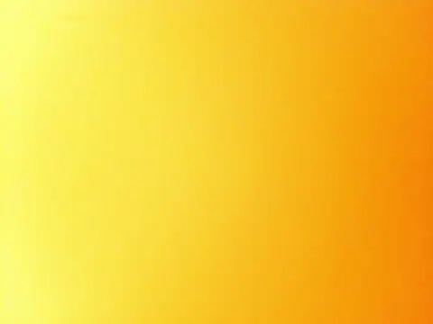 notyg240 online show from 12, 3, 2026