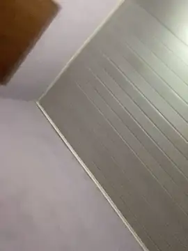 GuioficialBr online show from 29, 3, 2026