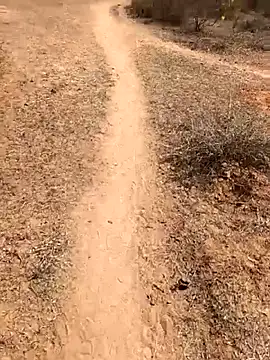 Tamilpaiyan07 online show from 8, 2, 2026