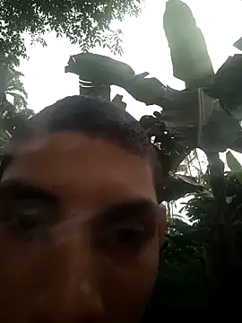 Snapshot of gingavi chatting on 26, 4, 2026 gingavi online show from 26, 4, 2026