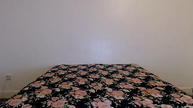 Stella John online show from 1, 2, 2026