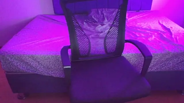 Sofii unicorn online show from 14, 3, 2026