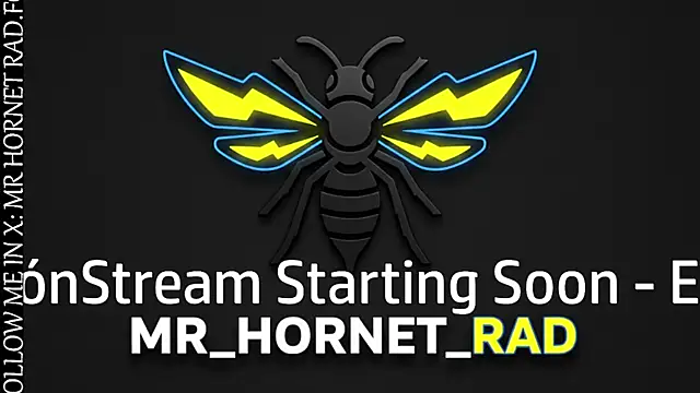 Snapshot of s_hornet chatting on 22, 4, 2026 s hornet online show from 22, 4, 2026