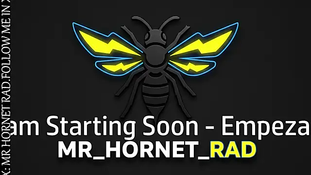 Snapshot of s_hornet chatting on 24, 4, 2026 s hornet online show from 24, 4, 2026