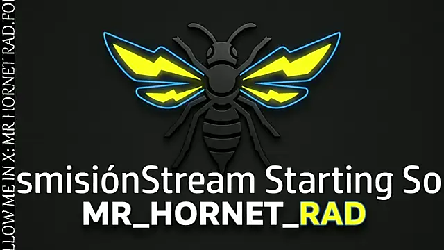 Snapshot of s_hornet chatting on 18, 5, 2026 s hornet online show from 18, 5, 2026