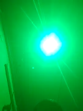 sevanty77 online show from 7, 2, 2026