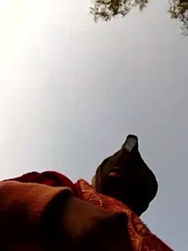 Jyoti sekh online show from 10, 2, 2026