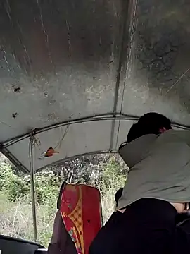 Asami 6868 online show from 26, 3, 2026