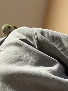 Snapshot of Andres56ojh chatting on 14, 2, 2026 Andres56ojh online show from 14, 2, 2026