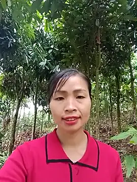 Snapshot of xiaogoal chatting on 11, 6, 2026 xiaogoal online show from 11, 6, 2026