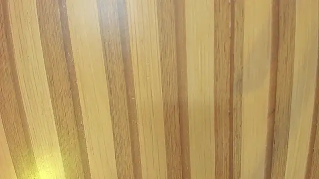 emily velvet   online show from 30, 3, 2026