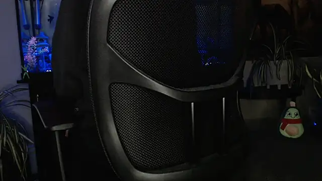 EspanolVato online show from 11, 4, 2026