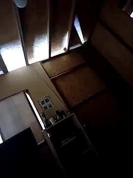 Potro 101319 online show from 17, 3, 2026