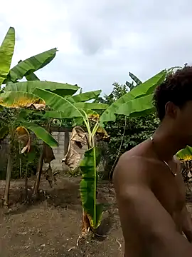 Wild and Sweets online show from 18, 1, 2026