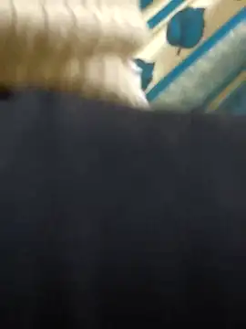 couple fun  online show from 2, 3, 2026