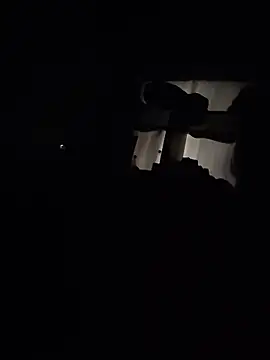 Palomamaximo online show from 12, 4, 2026