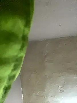 Snapshot of kwandero1234 chatting on 12, 1, 2026 kwandero1234 online show from 12, 1, 2026