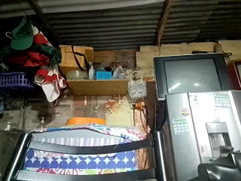 kitty pi online show from 8, 2, 2026