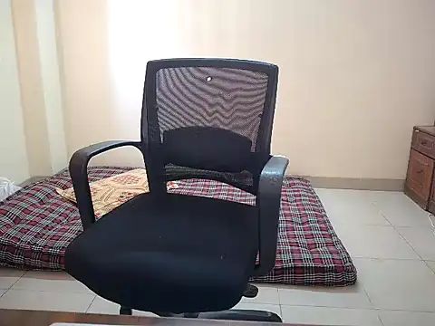 Secret Sarikaa online show from 26, 2, 2026